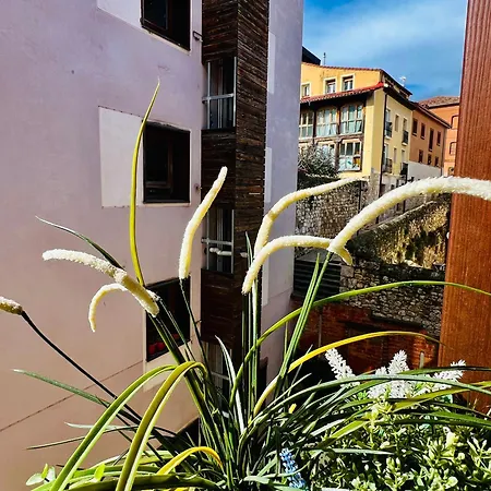 Apartment El Capricho De Claudia_ Catedral